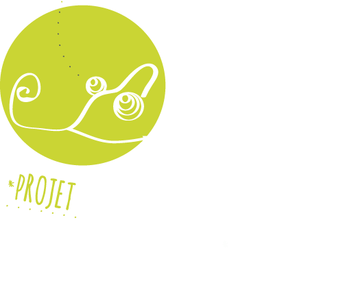 projet cameleon